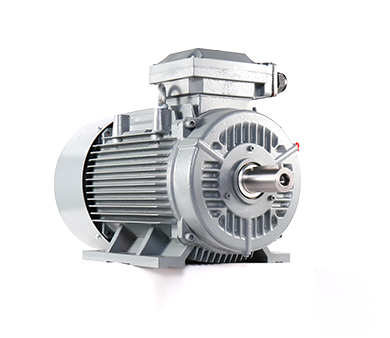 JEM3 JEM4 Series Low Voltage Cast Iron Shell Three-Phase Asynchronous Motor
