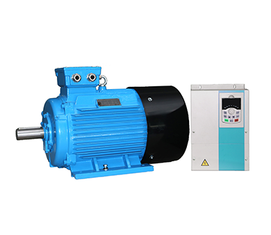 Permanent magnet synchronous motor (PMSM)